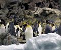 Linuxe
