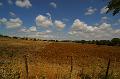 Toscana2